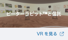 s[^[rbgTMƐM VR
