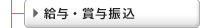 給与・賞与振込