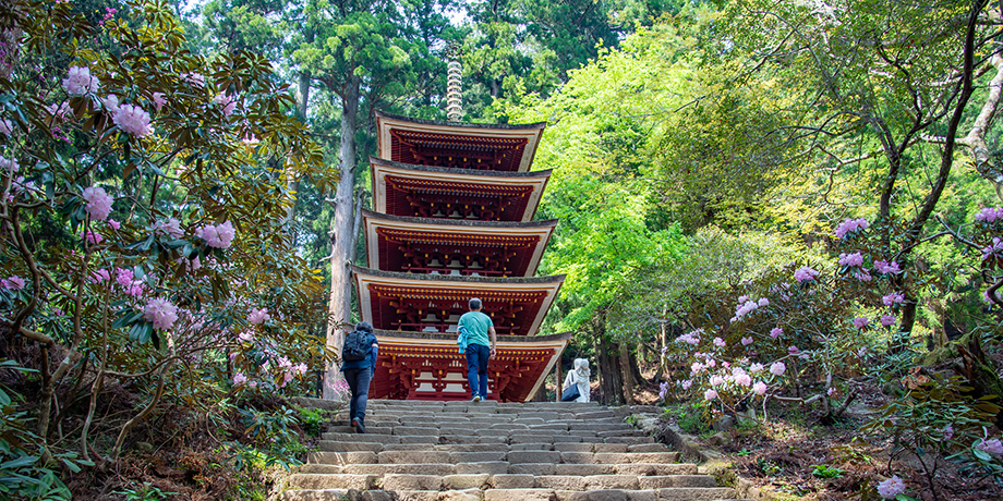 寺院