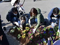宮城県女川町へ庭園とトピアリーを寄贈