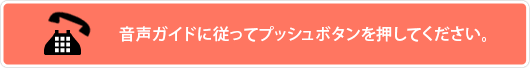 音声ガイドに従ってプッシュボタンを押してください。