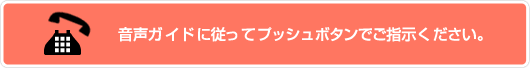 音声ガイドに従ってプッシュボタンでご指示ください。