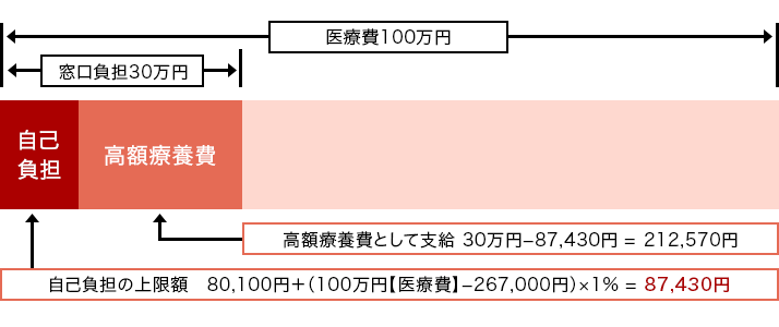 Ô100~ S30~[ȕS:ȕSz̏z 80,100~+i100~yÔz-267,000~j~1%=87,430~] [z×{:z×{ƂĎx 30~-87,430~ = 212,570~] 