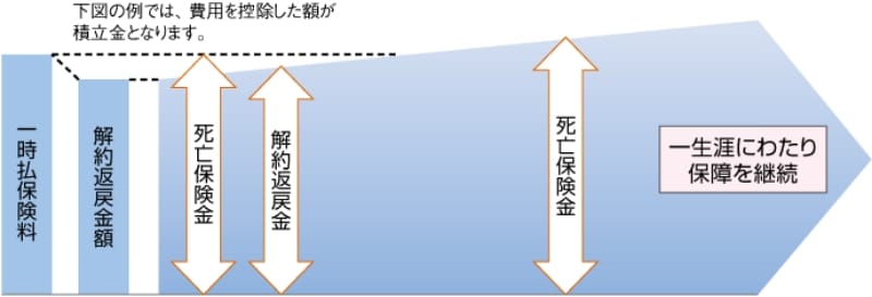 契約当初の保障が一時払保険料と同額のタイプ