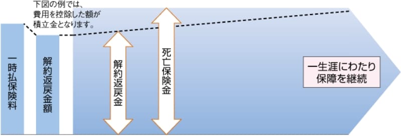 契約当初の保障が一時払保険料を上回るタイプ