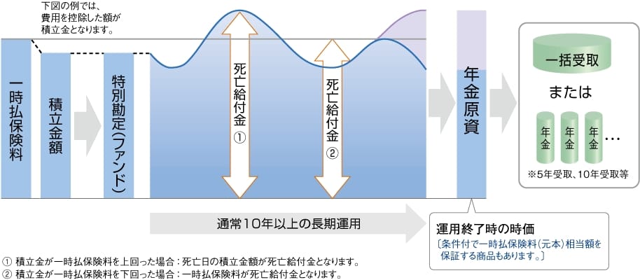 投資型年金保険の特色