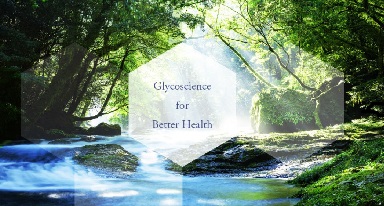 Glycoscience for Better Health