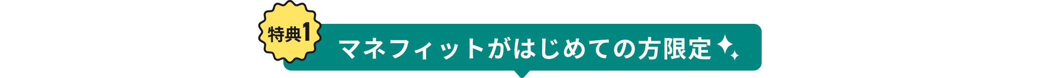 T1A}ltBbg͂߂Ă̕