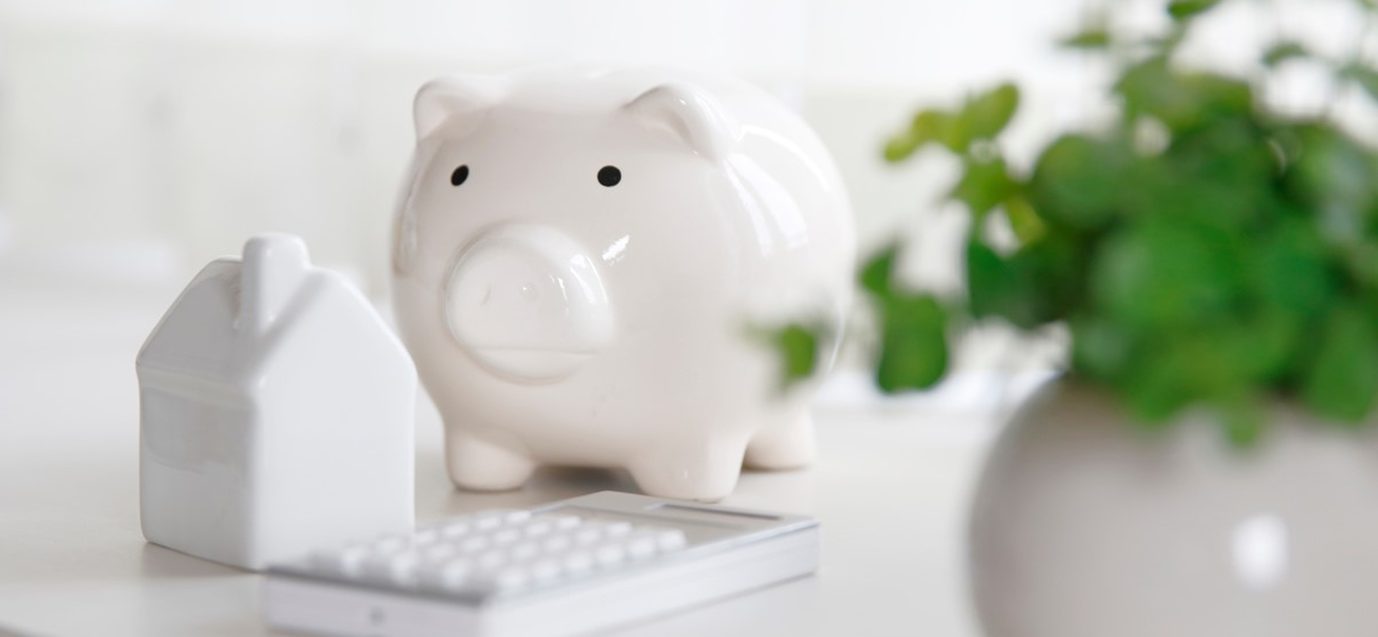 共済貯金とは？メリットやデメリット、預貯金以外で資産運用する方法も紹介：コラム記事：マネフィットではじめる金銭信託：三菱ＵＦＪ信託銀行