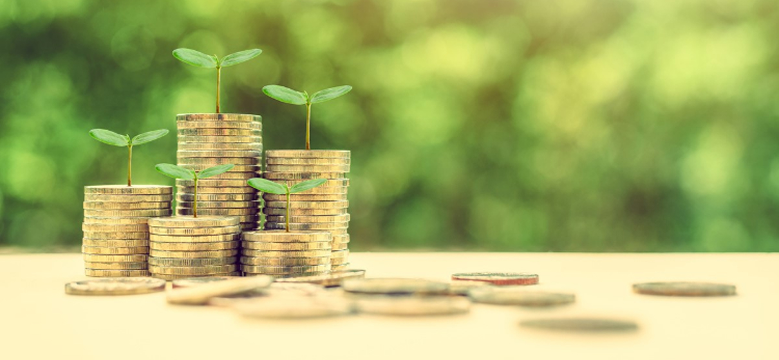 合同運用指定金銭信託とは？特徴や注意点をわかりやすく解説：コラム記事：マネフィットではじめる金銭信託：三菱ＵＦＪ信託銀行